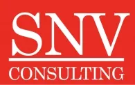 Channel Sales Representative – Distributor Embedded SNV Consulting co.ltd.