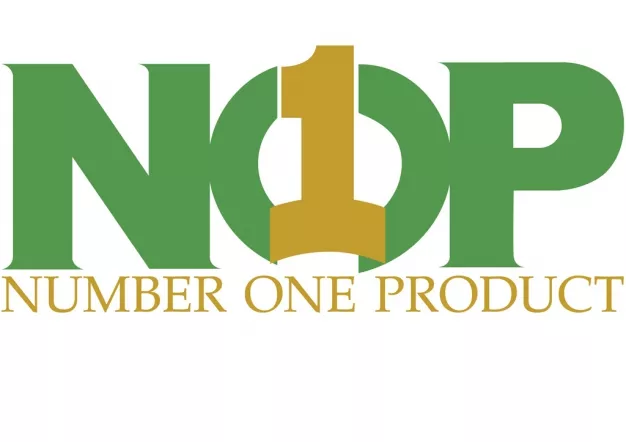Content Creator & Marketing Officer NOP INTERNATIONAL HOLDING COMPANY LIMITED