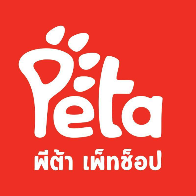 Online Marketing บริษัท พีต้า คอร์ปอเรชั่น จำกัด