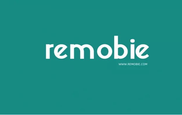 พนักงานแมสเซ็นเจอร์ (Messenger) Remobie