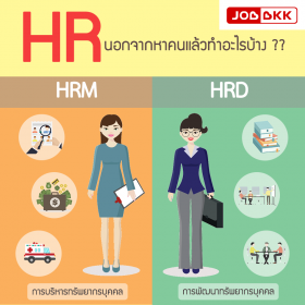 HR นอกจากหาคนแล้วทำอะไรบ้าง