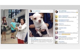 สวยใจบุญ! 'อั้ม-พัชราภา' IG ช่วยหาเจ้าของสุนัข จนเจอ