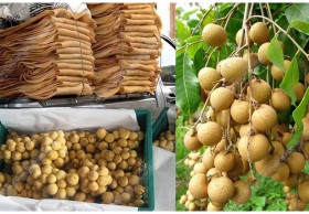 ดัชนีราคายางพารา-ลำไย-ลองกองเดือนส.ค.ร่วงไม่กระเตื้อง