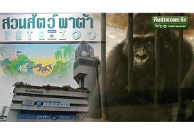ส่องสวนสัตว์เมืองกรุง เปิดกรงดาดฟ้าพาต้า ชีวิตหมอง-คนมองเศร้า!?