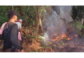 คาด 3 วันดับหมด ไฟไหม้ป่าพรุโต๊ะแดง ลามกว่า 700 ไร่