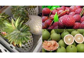 รบ.ปลื้มคนตอบรับ สั่งขยายวัน-เวลา ตลาดผักผลไม้ข้างทำเนียบฯ