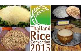 ปฏิวัติข้าวไทย ยกระดับราคา