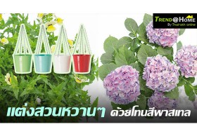 แต่งสวนหวานๆ ด้วยโทนสีพาสเทล