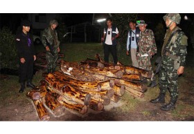 ตร.สนธิกำลังทหาร ยึดไม้พะยูง 78 ท่อน ซุกกลางป่า ศรีสะเกษ