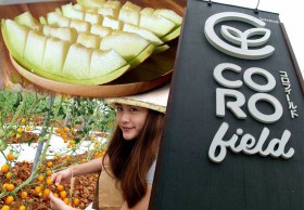 5 สิ่งช็อปชิมชิล CORO field ฟาร์มญี่ปุ่นแห่งแรกในไทย