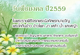 วันพืชมงคล 2559 ผลทำนายน้ำท่าจะบริบูรณ์สมควร