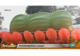 ข้าวต้มมัดใหญ่ที่สุดในโลก จ.เพชรบูรณ์