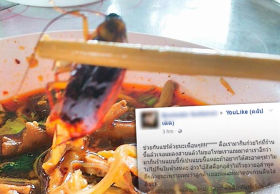 หนุ่มกลืนไม่ลง ก๋วยเตี๋ยวมีแมลงสาบ แถมเจ้าของร้านตอกกลับ