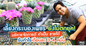 เลี้ยงกระบองเพชร ยังไม่ตกยุค! ทำเป็น ขายได้ รับกำไรเดือนละ 3-4 หมื่น