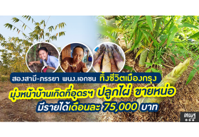 สองสามี – ภรรยา พนง.เอกชน ทิ้งชีวิตเมืองกรุง มุ่งหน้าบ้านเกิดที่อุดรฯ ปลูกไผ่ ขายหน่อ รายได้เดือนละ 75,000 บาท