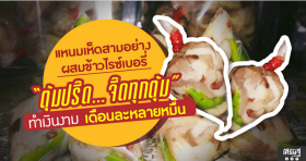 แหนมเห็ดสามอย่างผสมข้าวไรซ์เบอรี่ ทำเงินงาม เดือนละหลายหมื่น