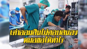 “เต่าออมสิน” อาการวิกฤต ไม่ตอบสนอง สัตวแพทย์ยอมรับโอกาสรอดน้อยต้องทำใจ