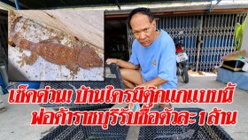 เช็กด่วน บ้านใครมีตุ๊กแกแบบนี้ พ่อค้าราชบุรีรับซื้อตัวละ 1 ล้านบาท