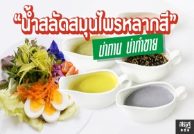 “น้ำสลัดสมุนไพรหลากสี” น่าทาน น่าทำขาย